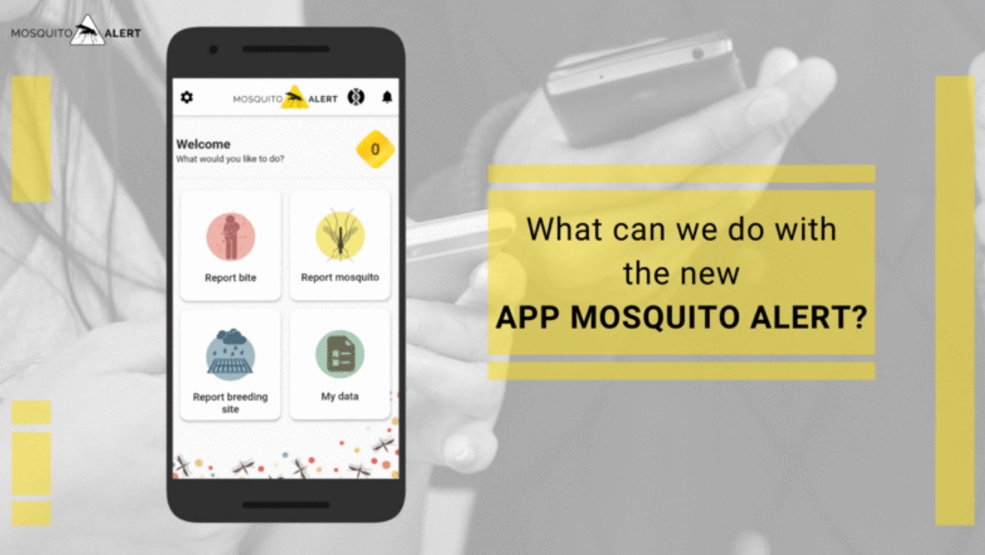 Mosquito Alert APP