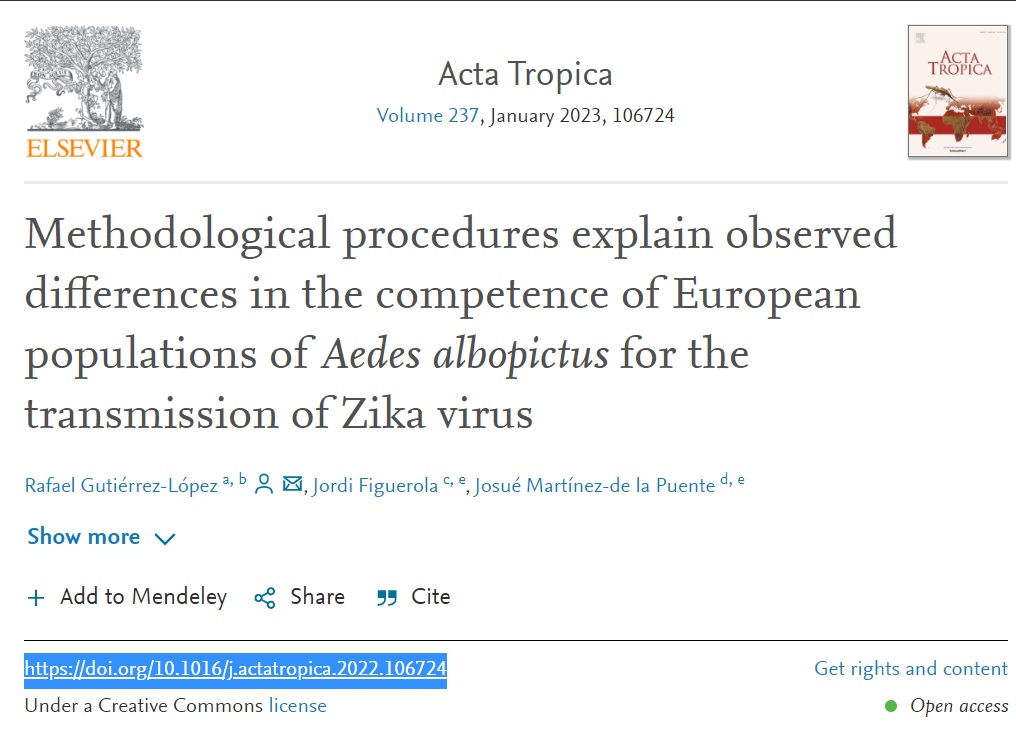 Aedes albopictus